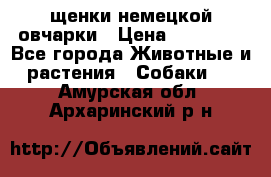 щенки немецкой овчарки › Цена ­ 15 000 - Все города Животные и растения » Собаки   . Амурская обл.,Архаринский р-н